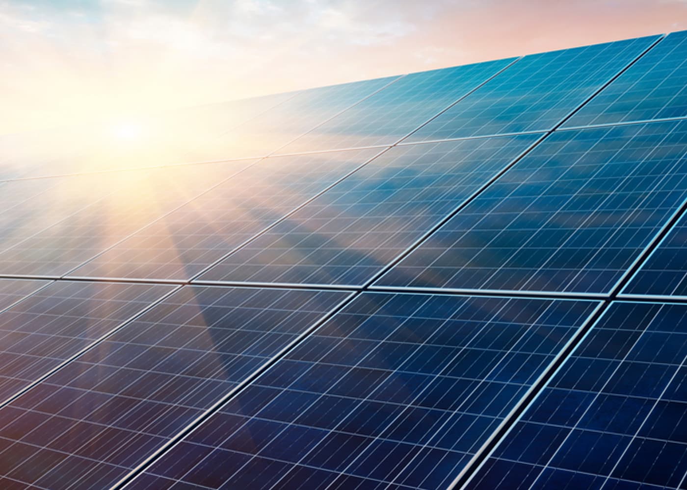 solar-grant solar panels